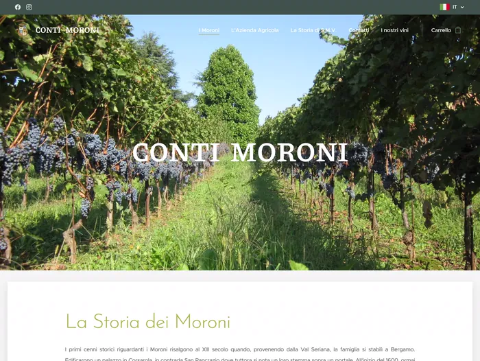 Anteprima del sito Conti Moroni — Sito attività